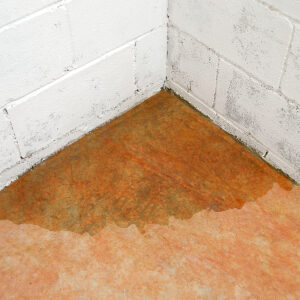 How Do You Stop Water From Getting Under Doors During Storms?